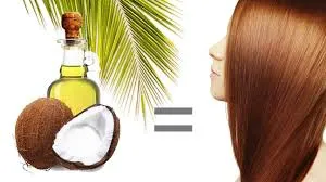 Vì sao dầu dừa lại "thần kỳ" cho mái tóc