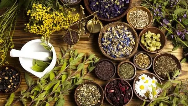 Lưu ý quan trọng khi chăm sóc tóc bằng thảo dược