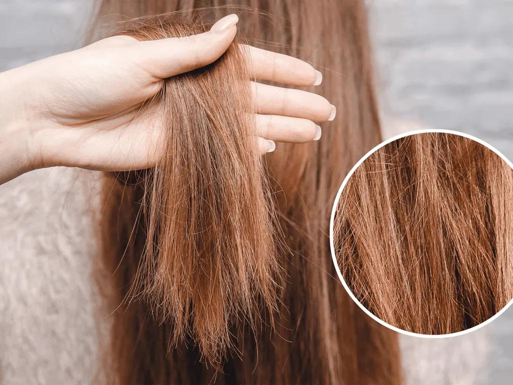 Dấu hiệu nhận biết tóc hư tổn
