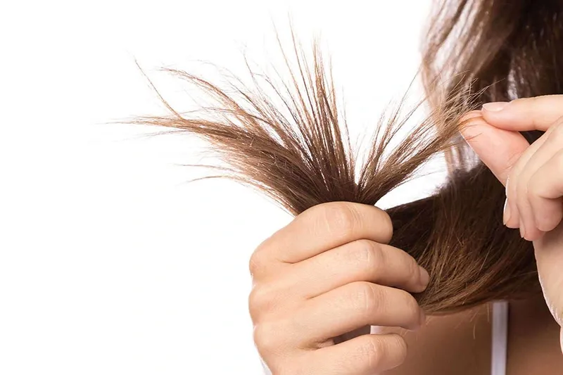 Nhận biết mái tóc khô: Bạn có đang gặp vấn đề này