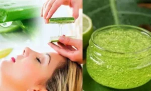 Các thành phần tự nhiên giúp phục hồi tóc bị cháy nắng